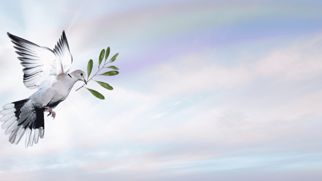 Blessings for Peace