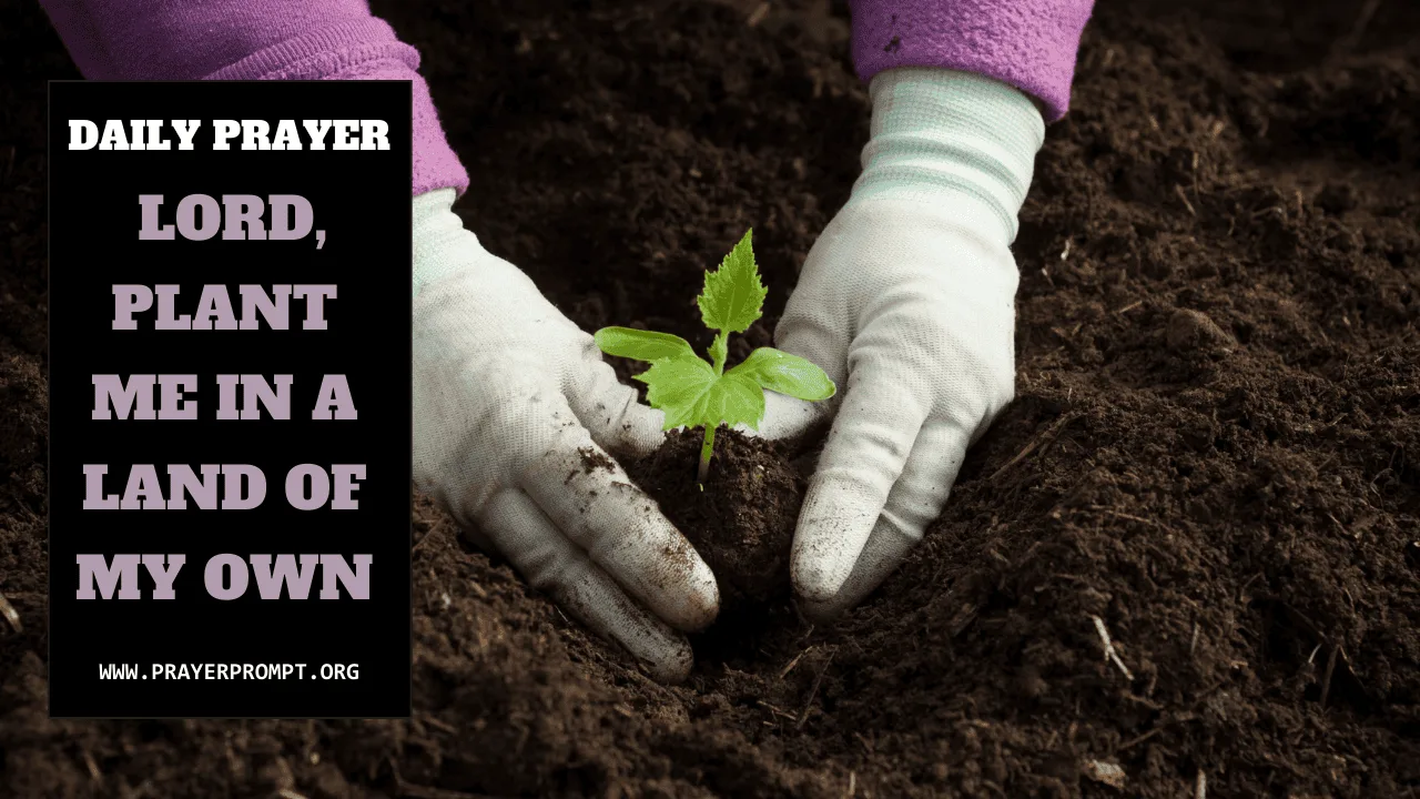 Daily Prayer for September 26, 2025: Lord, Plant Me in a Land of My Own