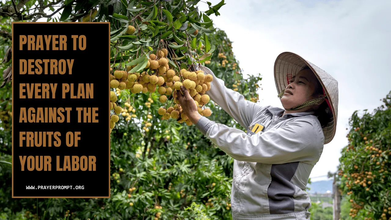 Prayer to Destroy Every Plan Against the Fruits of Your Labor