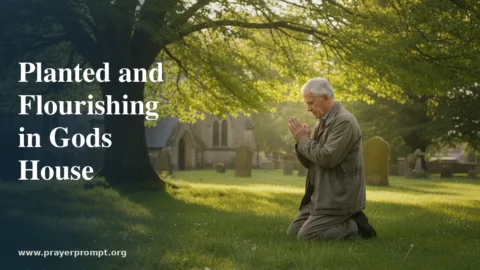 Daily Prayer for June 19, 2026: Planted and Flourishing in God’s House