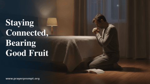 Night Prayer for June 18, 2026: Staying Connected, Bearing Good Fruit