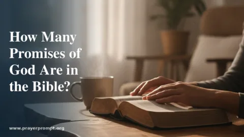 How Many Promises of God Are in the Bible?