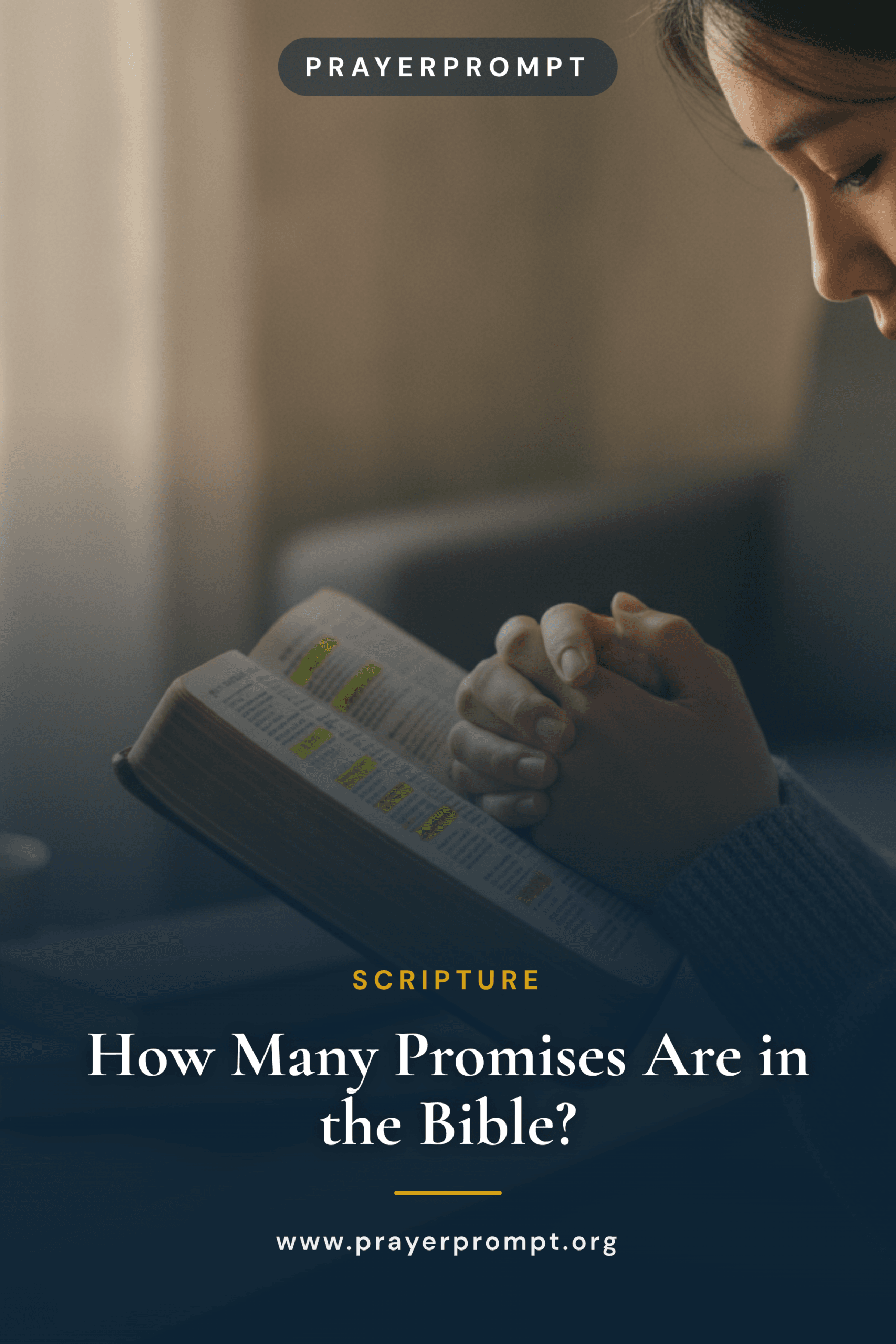 How Many Promises Are in the Bible?