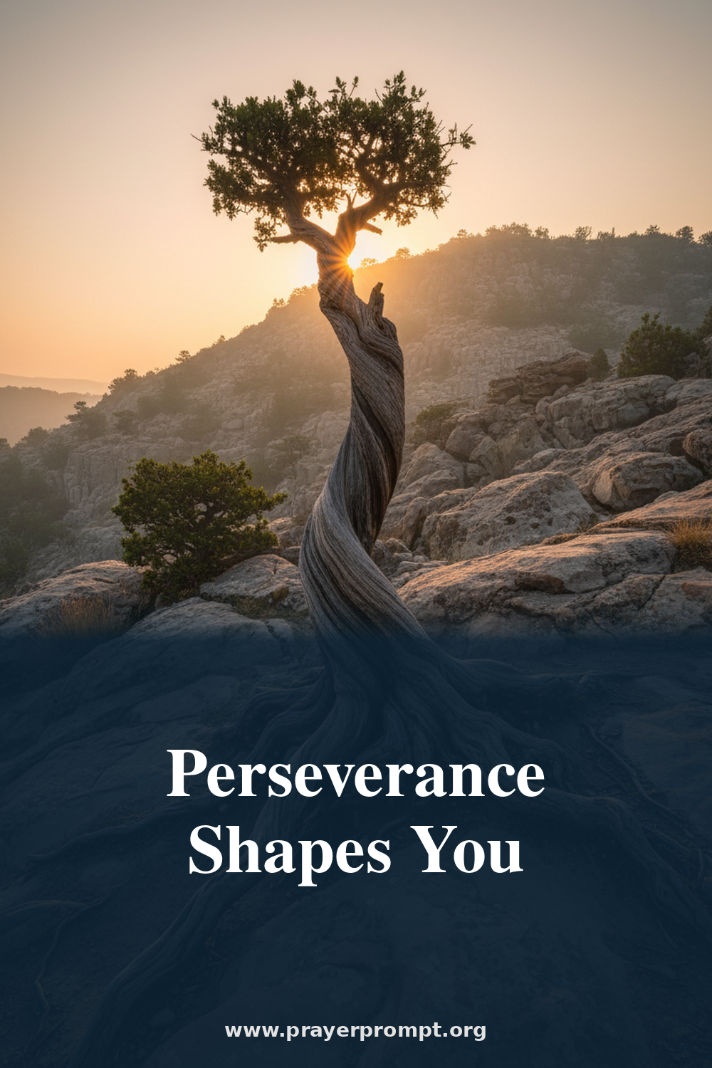 Daily Prayer for July 15, 2026: Perseverance Shapes You