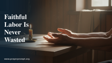 Daily Prayer for July 24, 2026: Faithful Labor Is Never Wasted