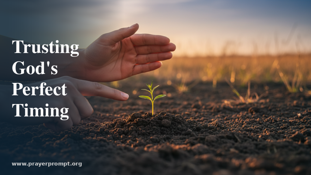 Daily Prayer for July 24, 2026: Faithful Labor | PrayerPrompt