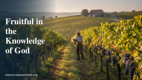 Daily Prayer for July 20, 2026: Fruitful in the Knowledge of God