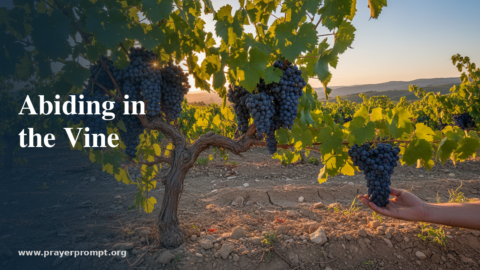 Night Prayer for July 14, 2026: Abiding in the Vine