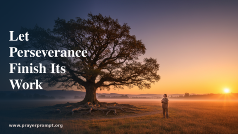 Night Prayer for July 15, 2026: Let Perseverance Finish Its Work