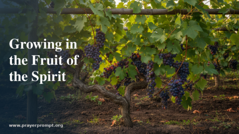 Daily Prayer for July 16, 2026: Growing in the Fruit of the Spirit