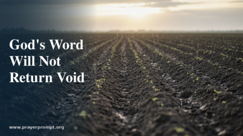 Night Prayer for June 30, 2026: God’s Word Will Not Return Void