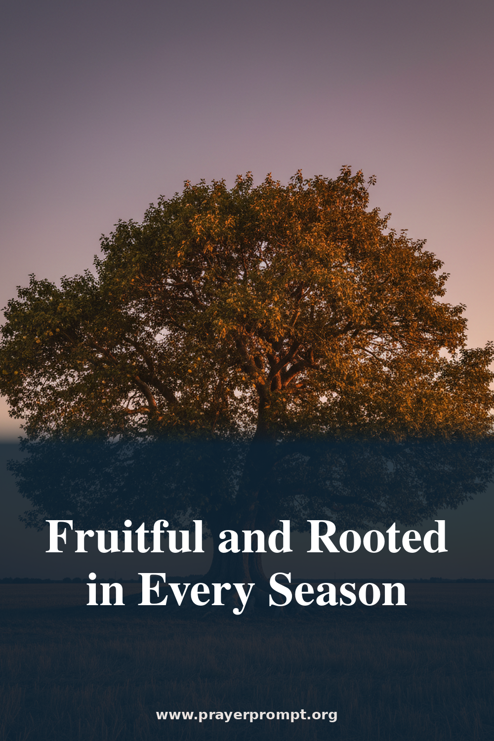 Night Prayer for July 21, 2026: Fruitful and Rooted in Every Season