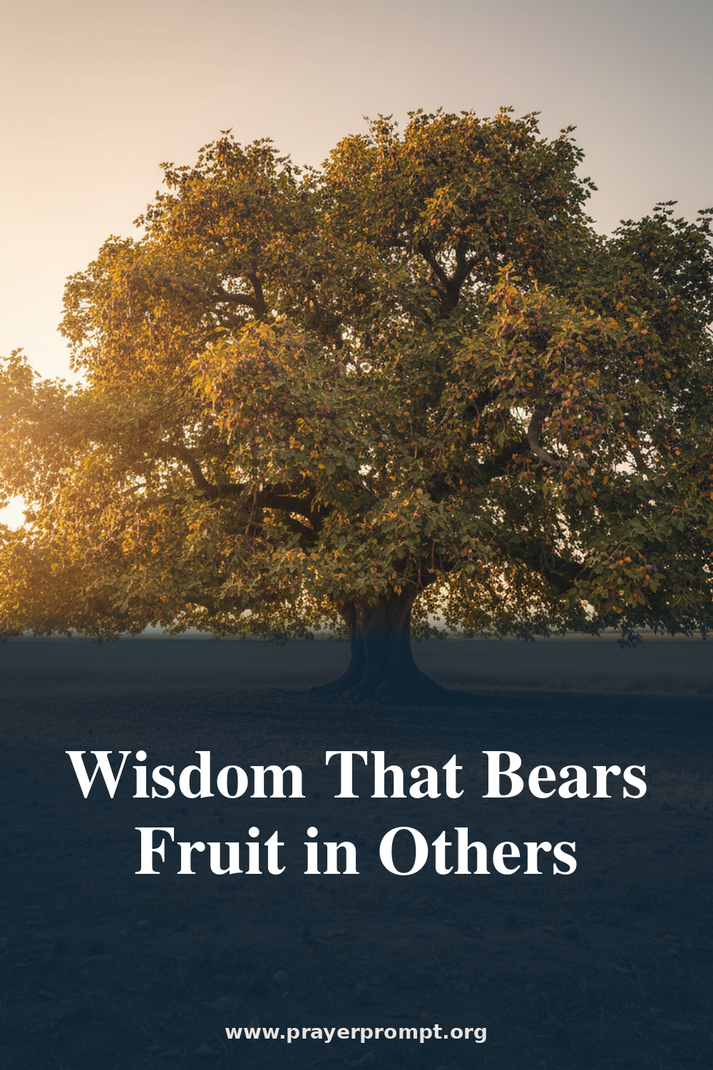 Night Prayer for July 25, 2026: Wisdom That Bears Fruit in Others