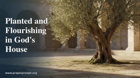 Daily Prayer for June 19, 2026: Planted and Flourishing in God’s House