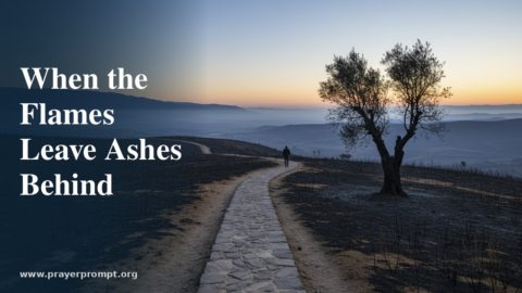 15 Prayers for Spain Wildfires: Hope, Healing, and Solidarity