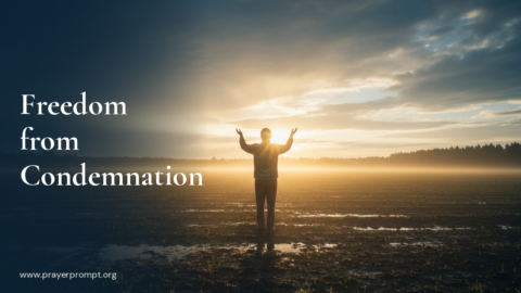 Daily Prayer for August 29, 2026: Freedom from Condemnation