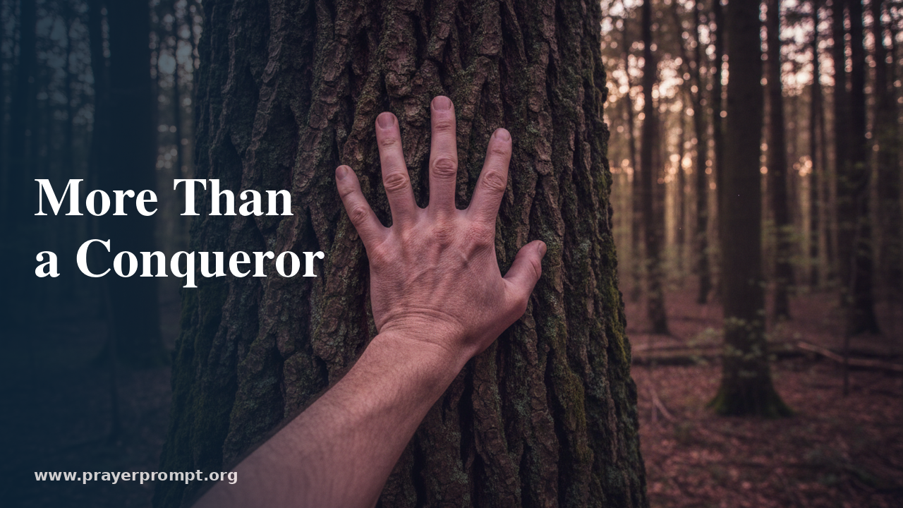 Night Prayer for August 13, 2026: More Than a Conqueror