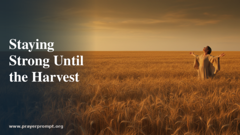 Daily Prayer for August 23, 2026: Staying Strong Until the Harvest