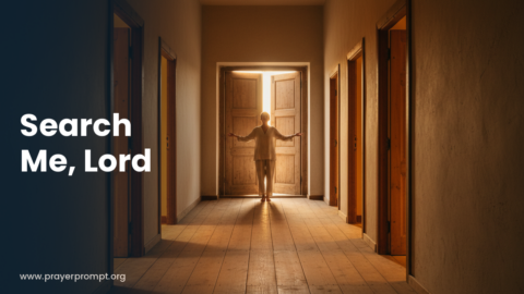 Night Prayer for September 3, 2026: Search Me, Lord