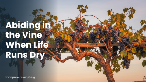 Daily Prayer for September 28, 2026: Abiding in the Vine When Life Runs Dry