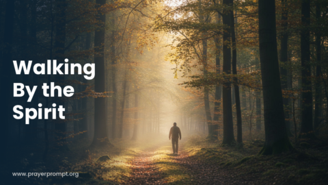 Daily Prayer for September 24, 2026: Walking by the Spirit