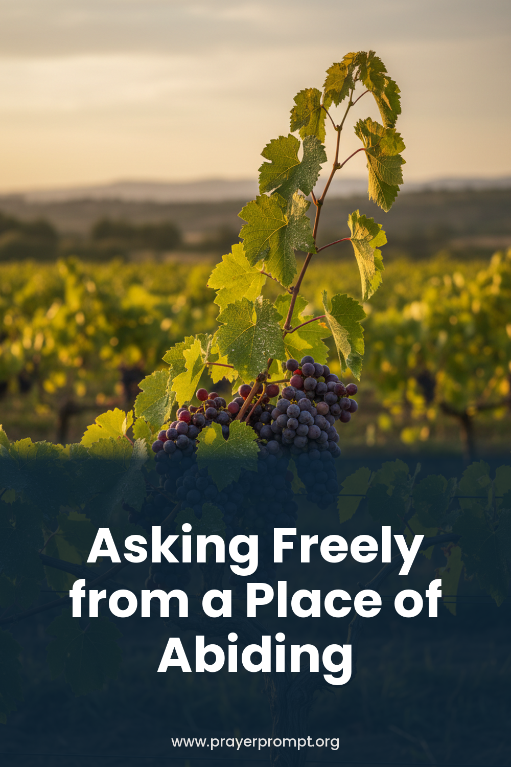 Daily Prayer for October 2, 2026: Asking Freely from a Place of Abiding