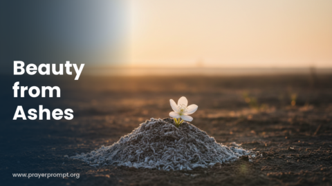 Night Prayer for October 29, 2026: Beauty From Ashes